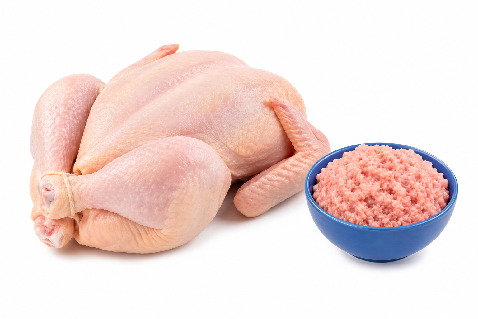 Chicken and Chicken MSM